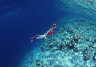 海底潜水图片大全