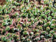 海底世界图片大全