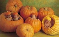 可爱宝宝图片 可爱宝宝图片大全