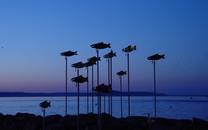 水的宽屏高清图片