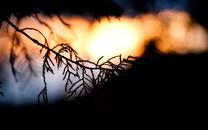 捕捉瞬间精彩高清桌面壁纸