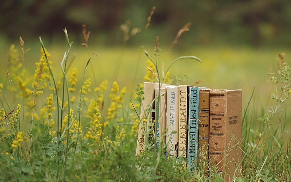 校园记忆宽屏桌面图片