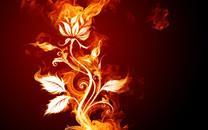 火焰创意高清图片