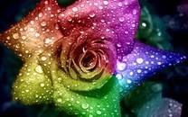 五颜六色的图片大全