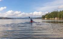 划船水上运动图片