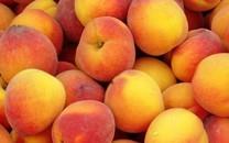 夏日甜蜜水果图片