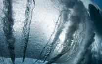 冲浪图片 冲浪运动高清图片大全