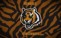 国家橄榄球联盟高清图片