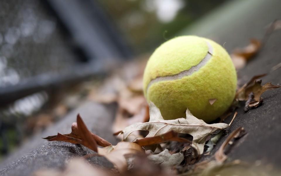 网球图片 网球特写图片分享