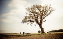 唯美幸福甜美婚纱照图片