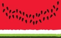 “瓜中之王”西瓜高清图片