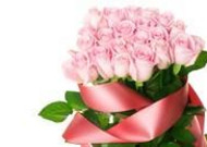 粉色玫瑰高清图片