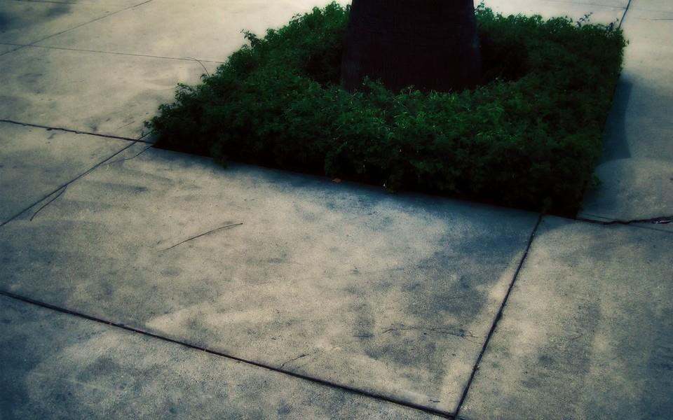 建筑特写高清图片大全