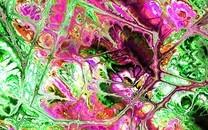 简约设计混乱彩色背景图片