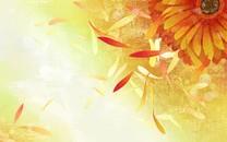 水彩花卉图片 水彩花卉图片大全