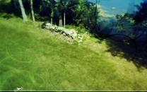 水中城市图片分享