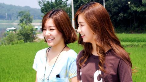 韩国美少女乐队组合图片