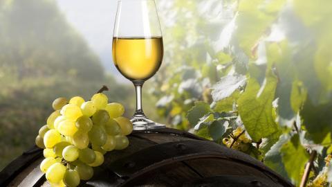 葡萄与美酒图片分享