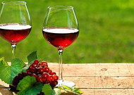 葡萄与美酒图片分享