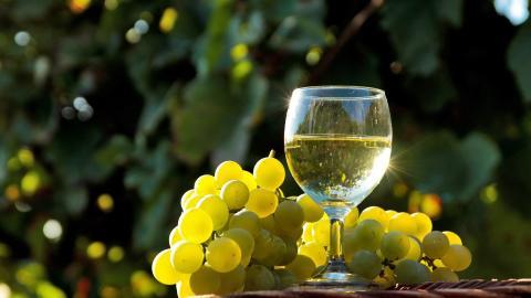 葡萄与美酒图片分享