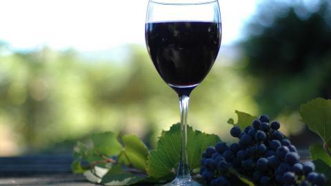 葡萄与美酒图片分享