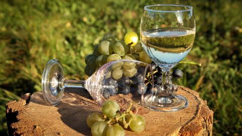 葡萄与美酒图片分享