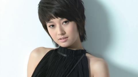 内地明星马伊琍图片大全