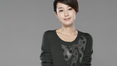 内地明星马伊琍图片大全