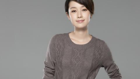 内地明星马伊琍图片大全