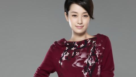 内地明星马伊琍图片大全