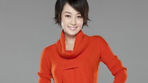 内地明星马伊琍图片大全