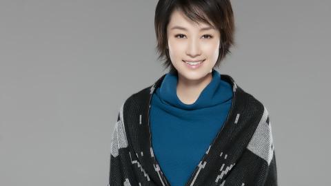 内地明星马伊琍图片大全