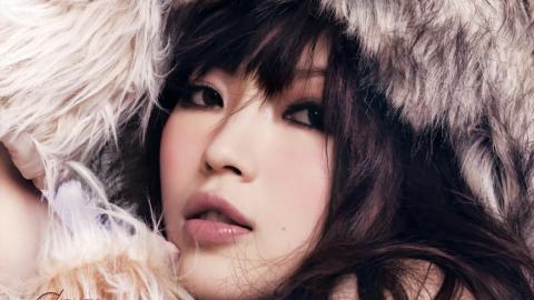 连诗雅气质美女图片