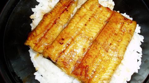 美味鳗鱼饭图片