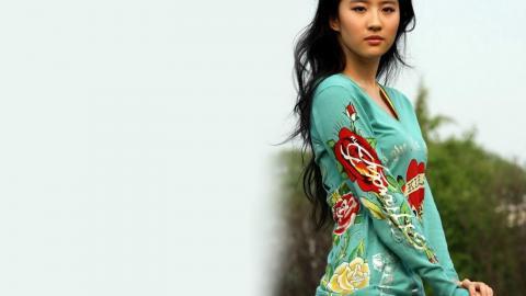 清纯美女刘亦菲图片