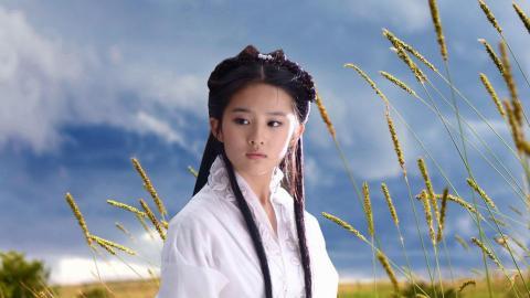 清纯美女刘亦菲图片