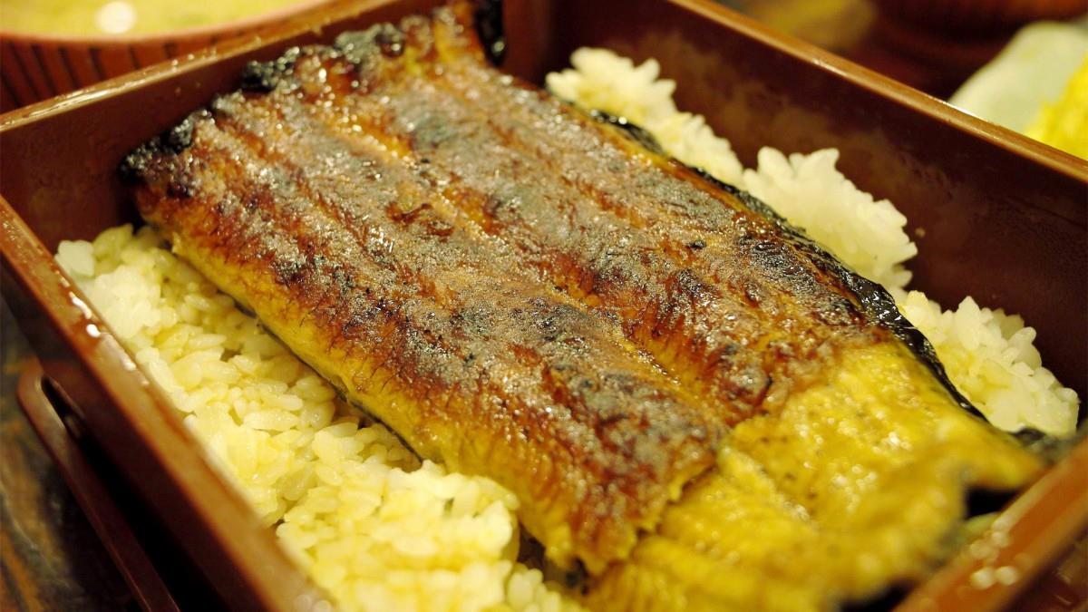 美味鳗鱼饭图片