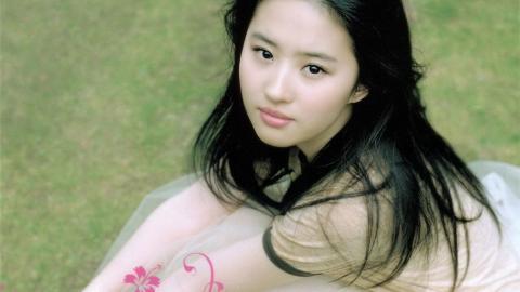 清纯美女刘亦菲图片