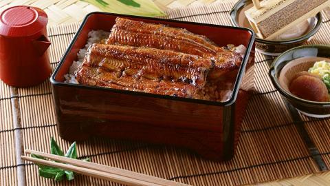 美味鳗鱼饭图片