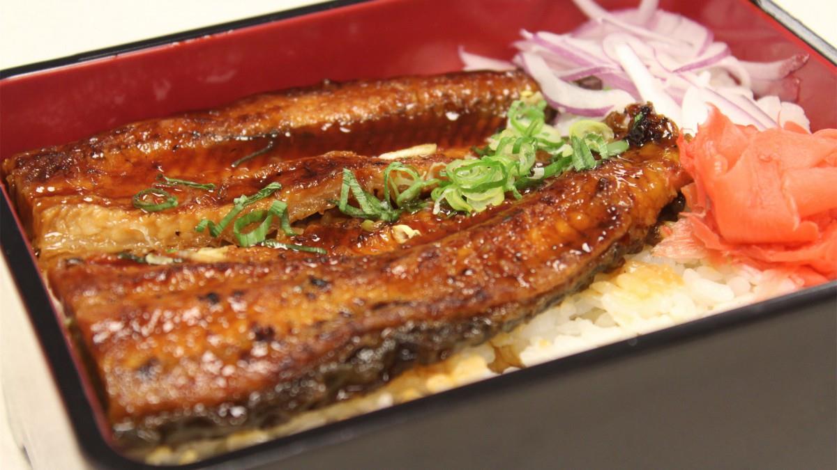 美味鳗鱼饭图片