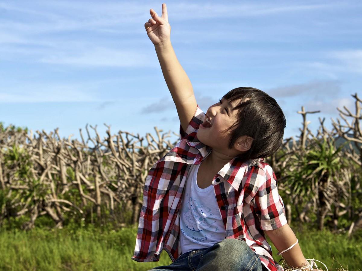 新天生一对影视图片