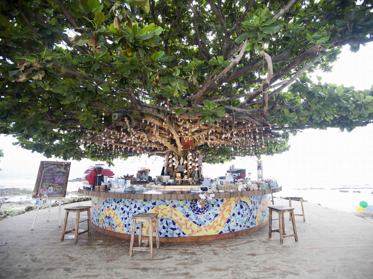 新天生一对影视图片