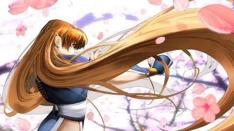 生或死游戏高清图片