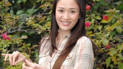 台湾女星陈乔恩图片大全
