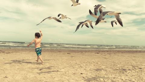 精美夏天儿童孩子图片