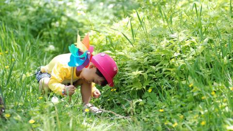 可爱宝贝户外摄影图片