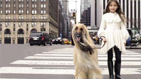 人与动物友好图片大全