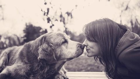 人与动物友好图片大全