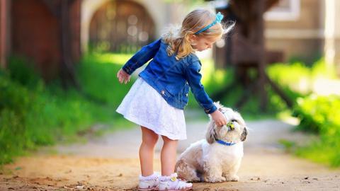 人与动物友好图片大全