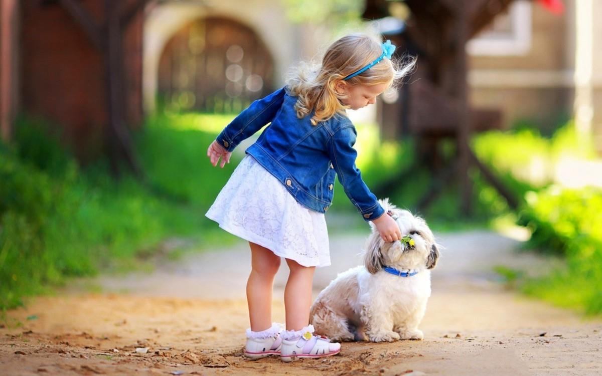 人与动物友好图片大全